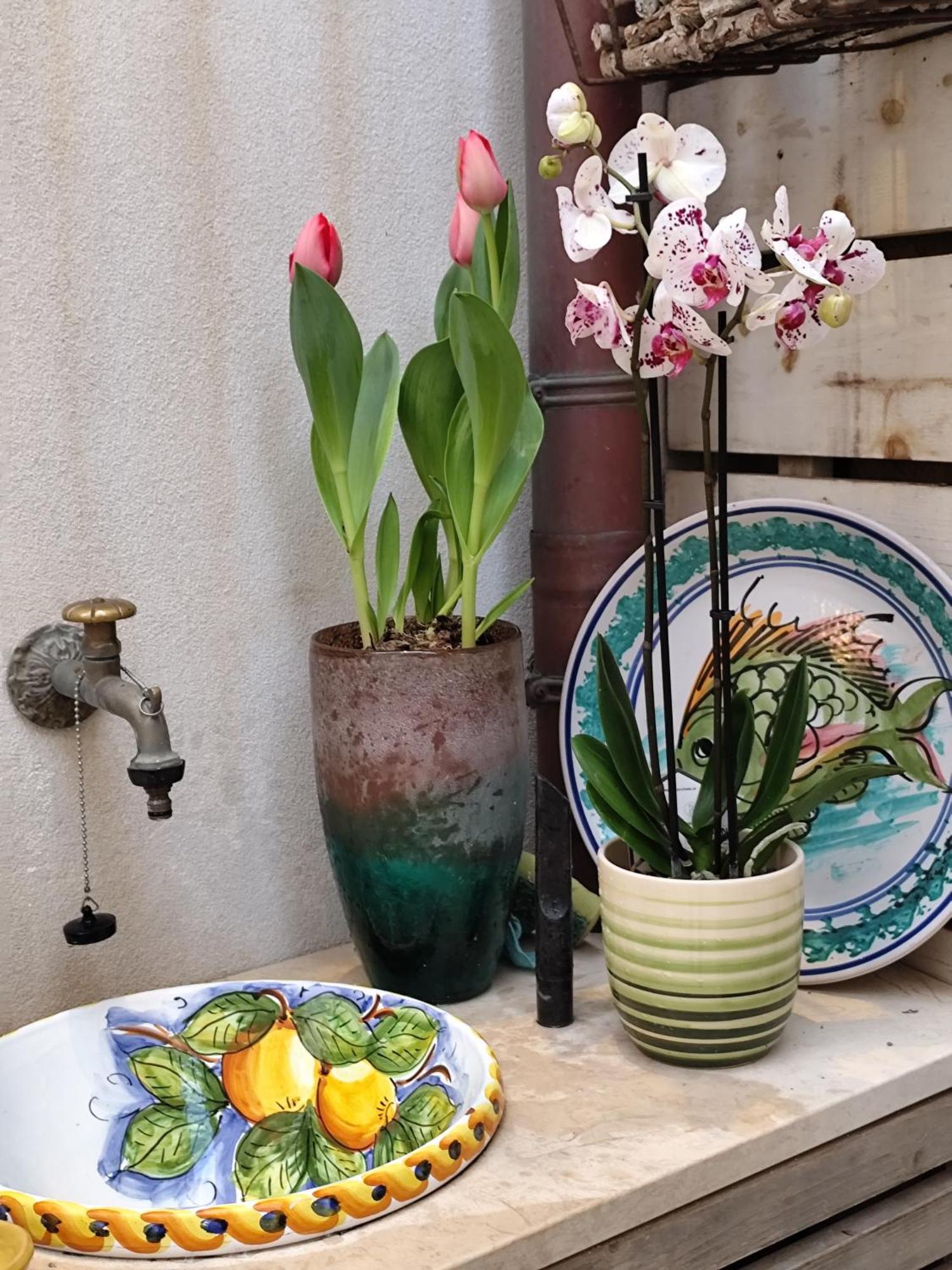 Ammira Apartment Syracuse Ngoại thất bức ảnh